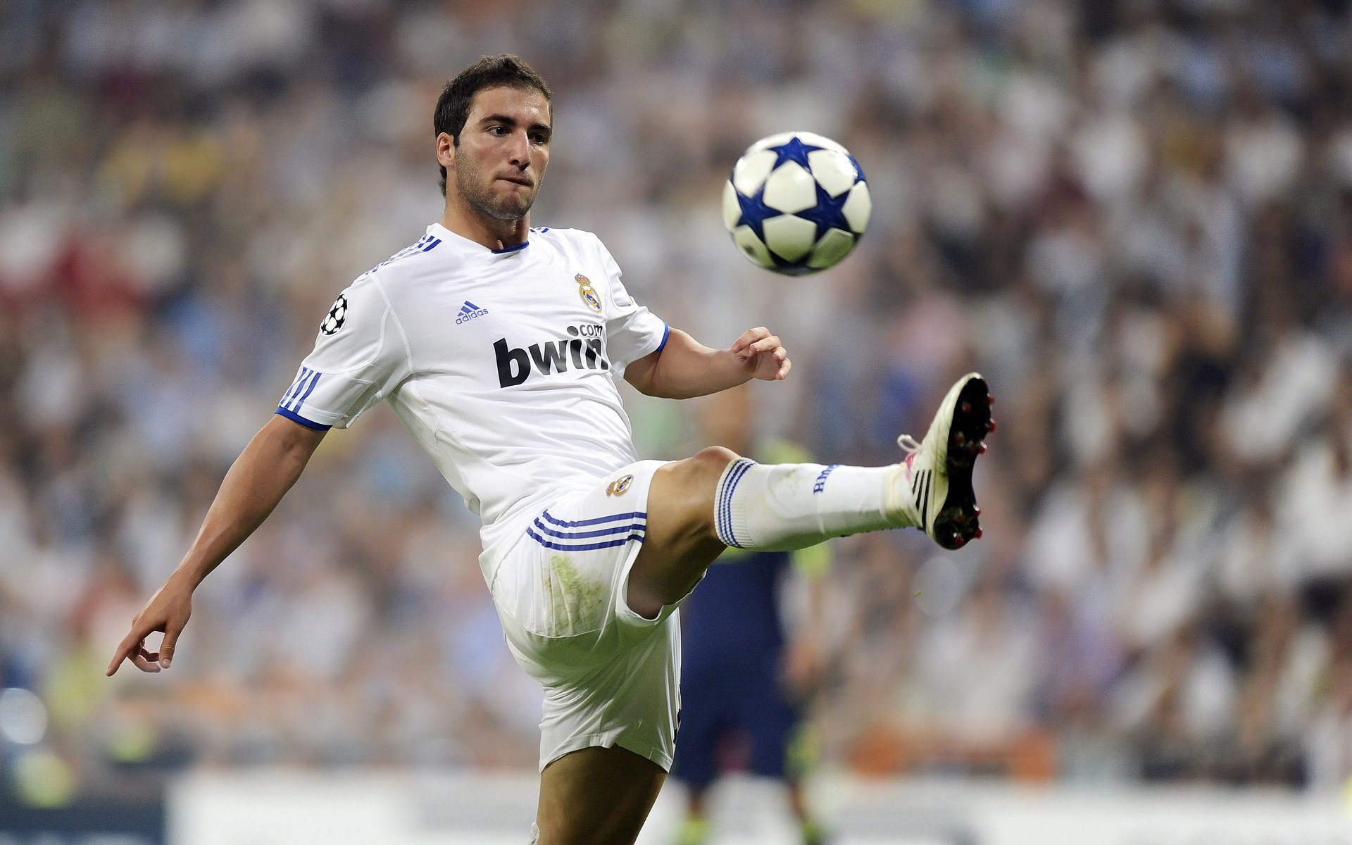 星空综合体育全站app-当前国家队由阿里·布齐安尼执教