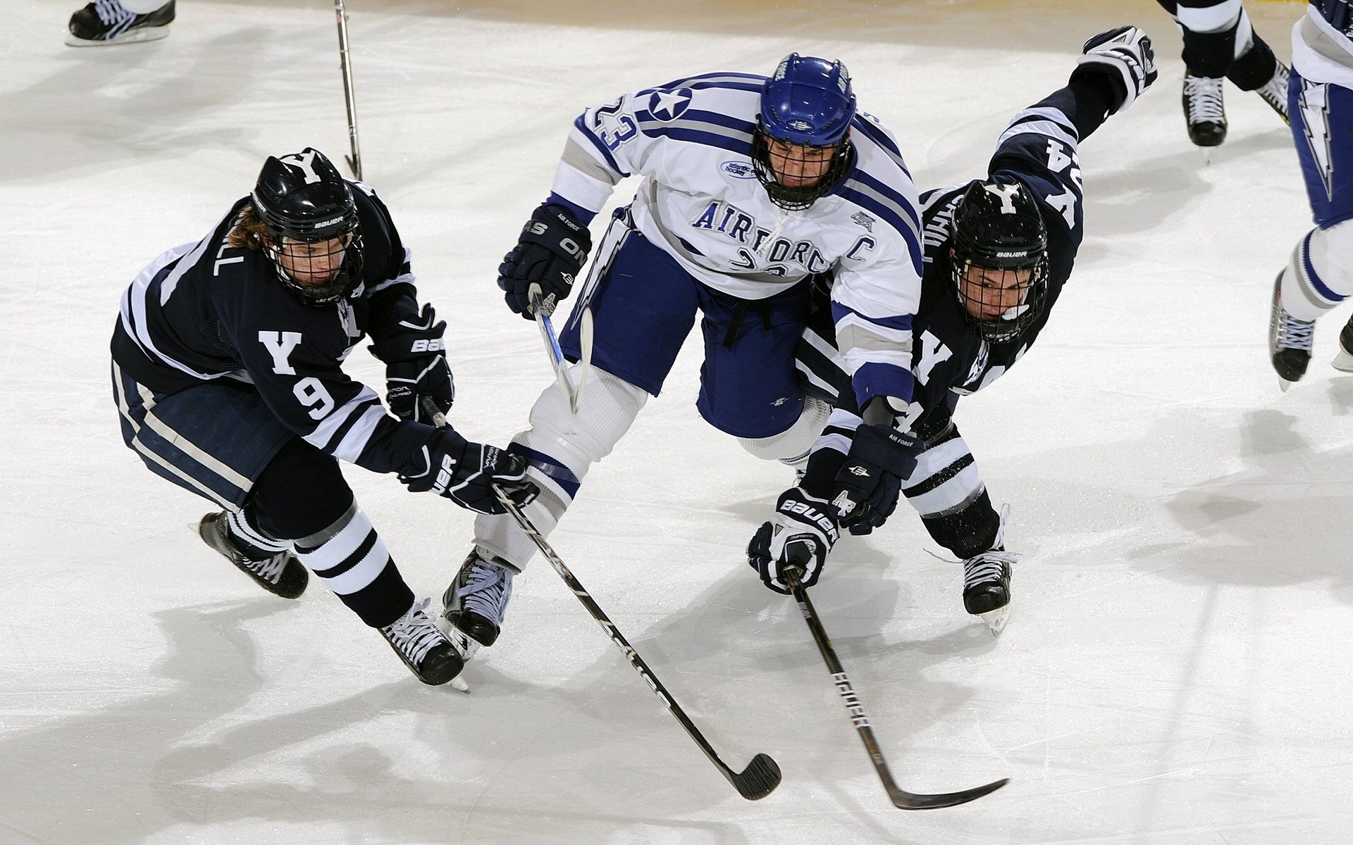 滑板训练基地正式启用助力青少年发展，滑板训练场图片